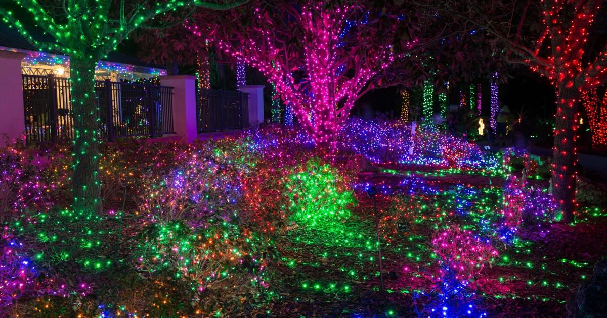 Holiday happenings around Pinellas County Calendar tbnweekly com Holiday happenings around Pinellas County Calendar tbnweekly com