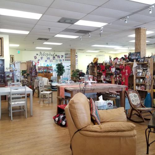 north bay animal services thrift store