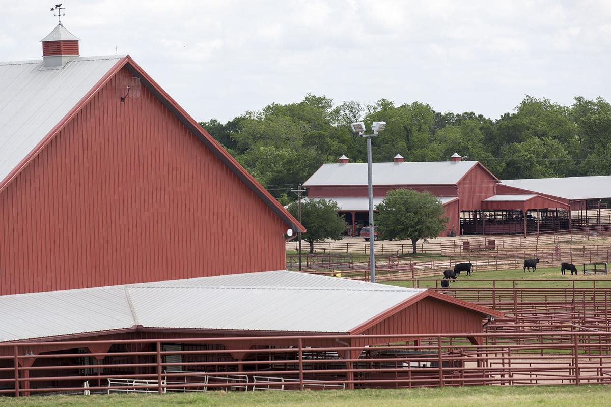 Cameron’s 44 Farms sees boom in beef business News