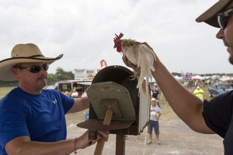 40th annual Holland Corn Festival News