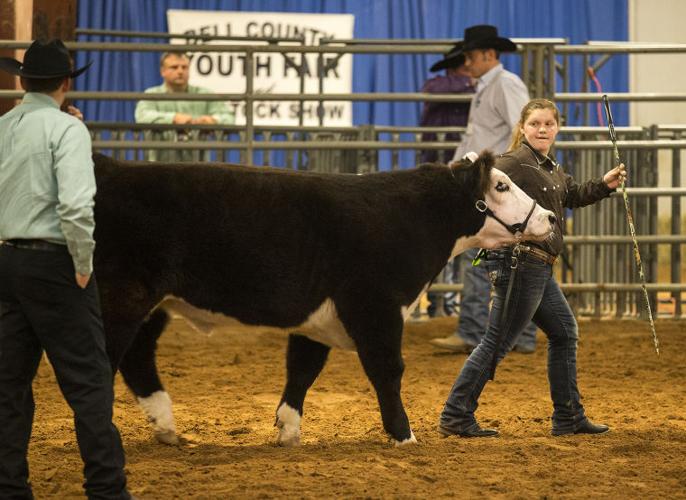 Bell County Youth Fair & Livestock Show | Images | tdtnews.com