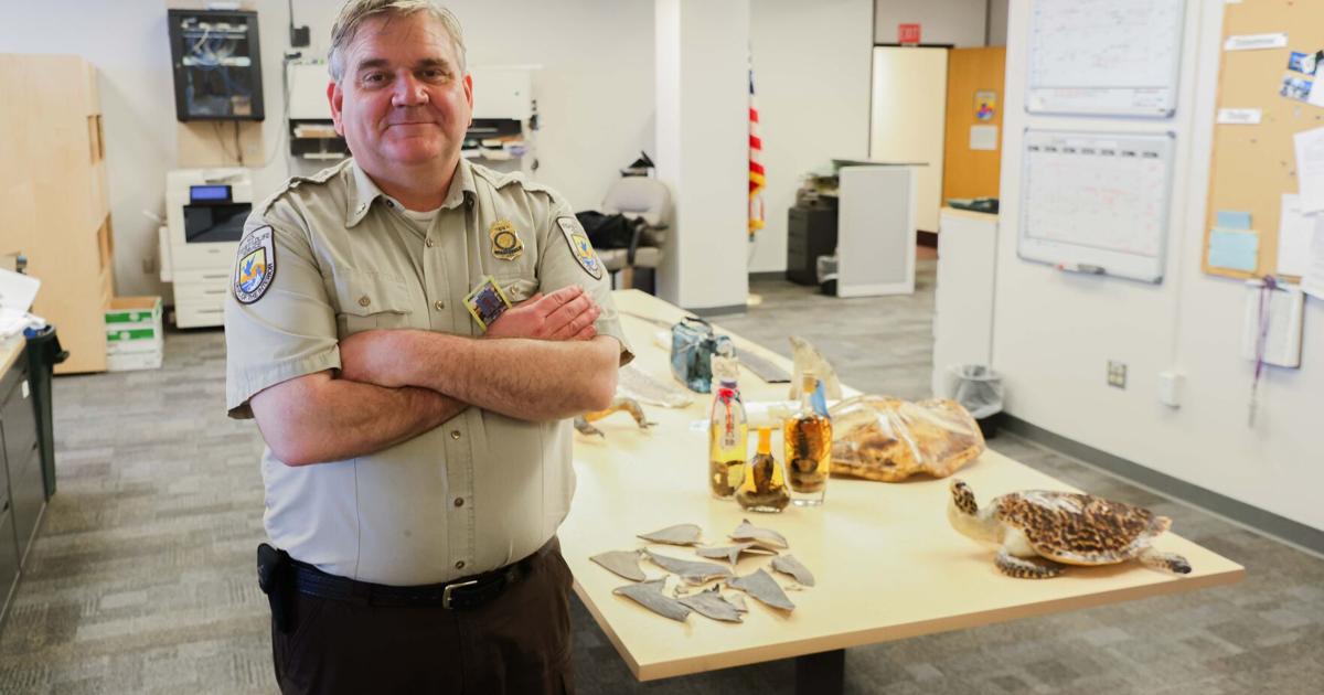 ‘Hey, this box stinks': the weird work of intercepting trafficked wildlife in Alaska Chris Andrews is a wildlife inspector for the U.S. Fish and Wildlife Service By HANNAH FLOR/Alaska Public Media - Alaska Public Media Jun 9, 2026 11 mins ago
