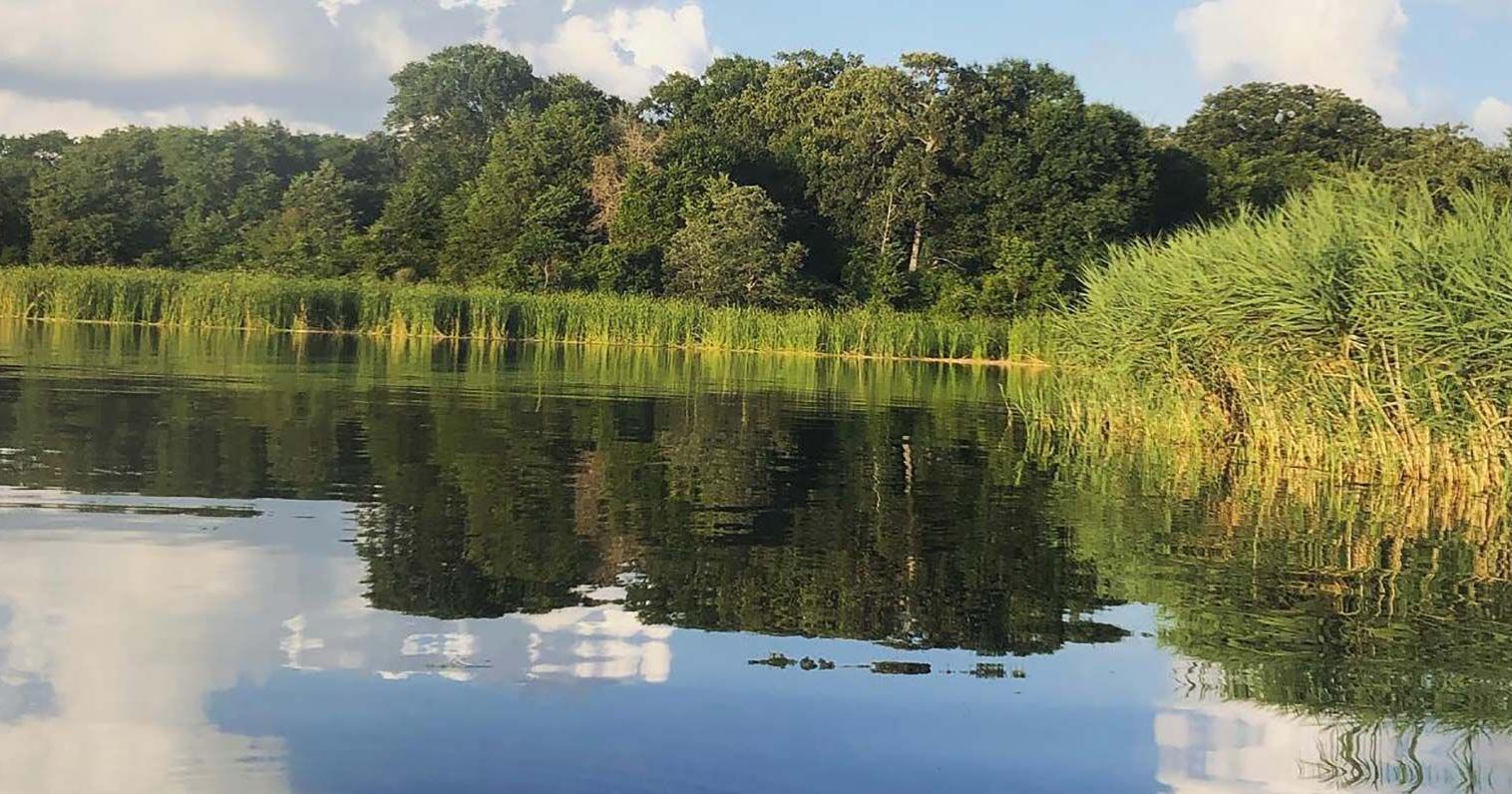 Texas Parks and Wildlife opts for eminent domain to save Fairfield Lake State Park - Vimarsana News