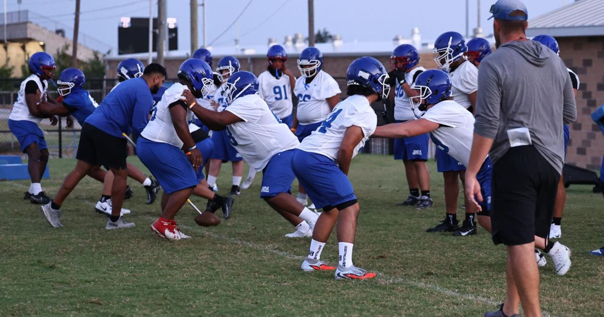 Motivated Wildcats start practice in search of another playoff berth