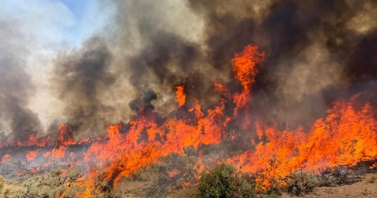 Dangerous wildfire keeps crews from reaching helicopter crash in Utah A large Utah wildfire has kept emergency responders from safely reaching the remote site of a helicopter crash By JOSH FUNK - AP Transportation Writer Aug 8, 2026 37 mins ago