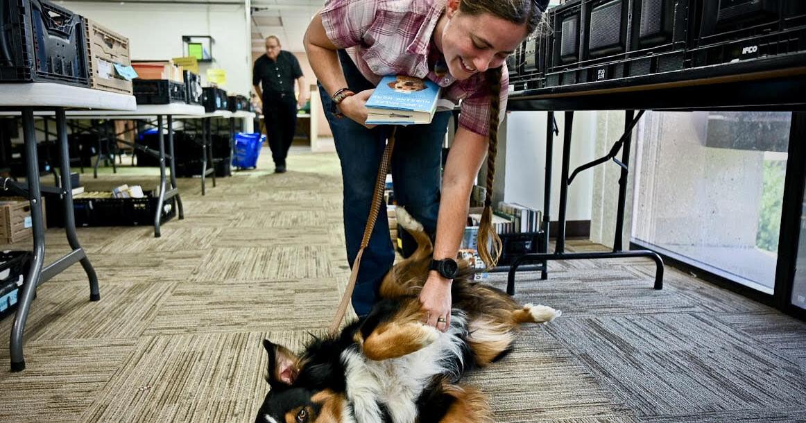 Books and belly rubs