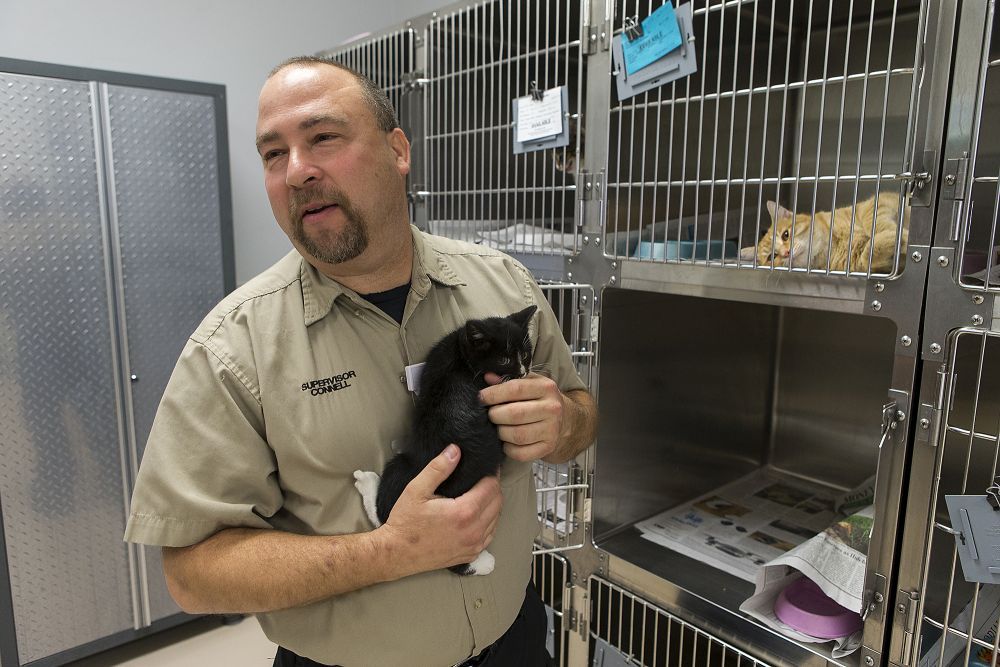 Bell County Animal Shelter | Gallery | tdtnews.com