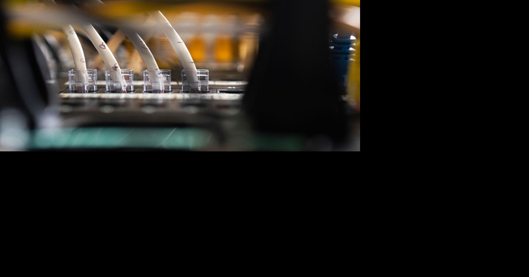What to know about the AI-detected security bug impacting wide swaths of the internet By KAITLYN HUAMANI and EMMA BURROWS - Associated Press Oct 22, 2026 18 mins ago