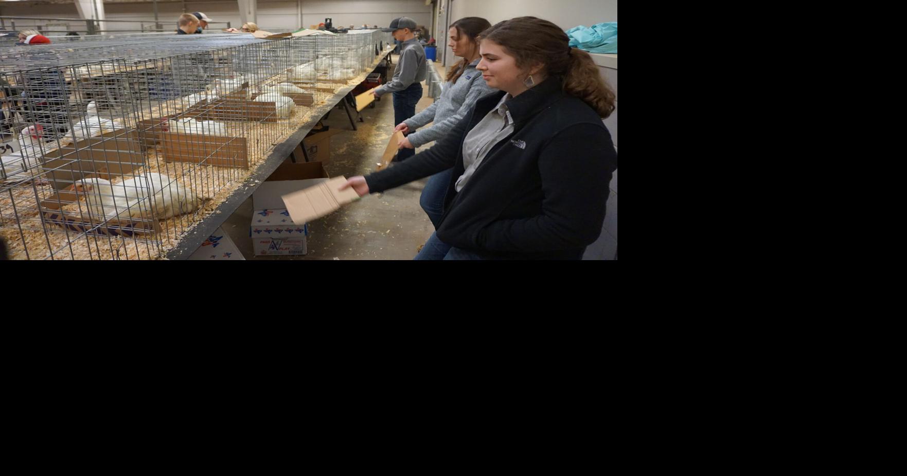 Poultry in motion: Youngsters brave ice for chicken competition | News ...