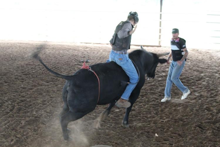 Bad Dog Rodeo in Belton keeps bull riding legacy alive | News | tdtnews.com