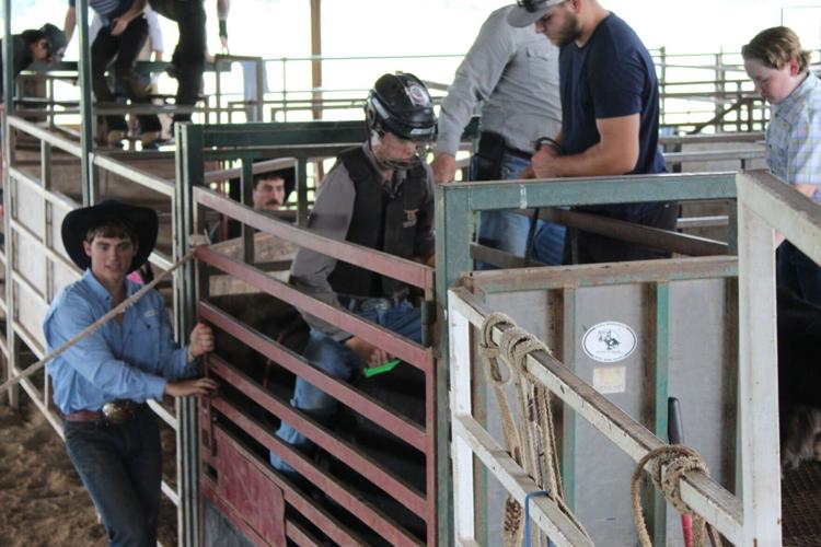 Bad Dog Rodeo in Belton keeps bull riding legacy alive | News | tdtnews.com