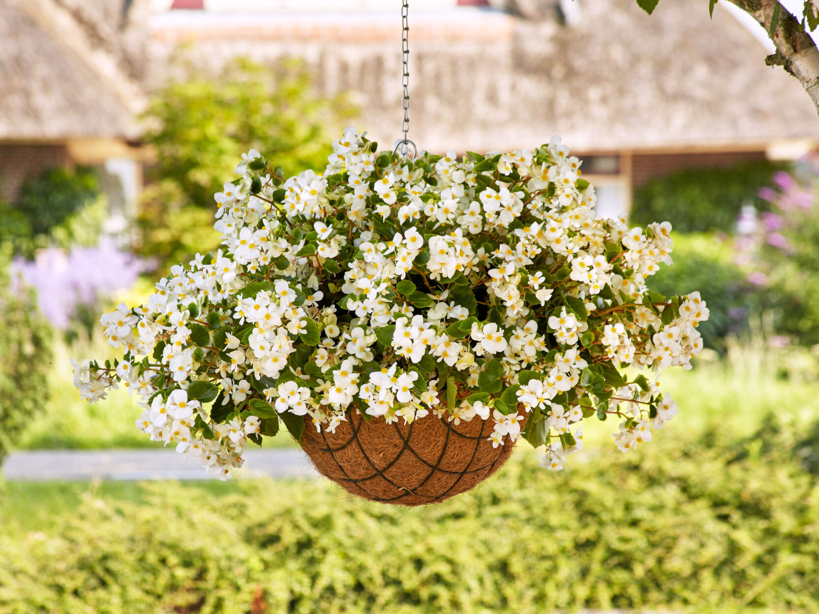 The AP's gardening expert has a list of 10 top-performing new