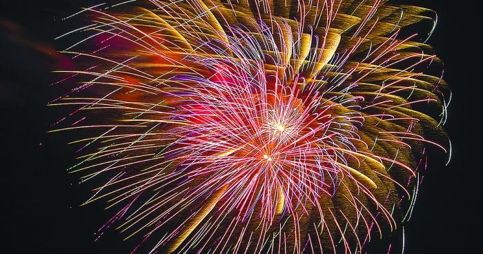 Fearing the Fourth: Fireworks can be traumatizing for PTSD sufferers, many animals - Vimarsana News