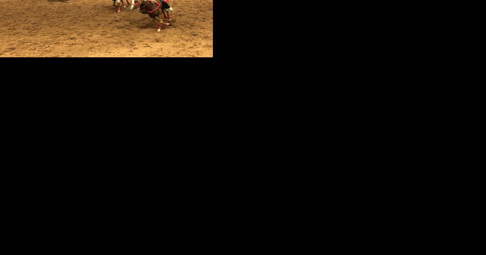 Back in the saddle: Equestrian Drill Teams of Texas holds rodeo drill competition at Bell County Expo Center - Vimarsana News