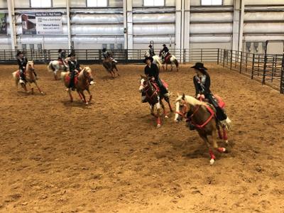 Back in the saddle: Equestrian Drill Teams of Texas holds rodeo drill ...