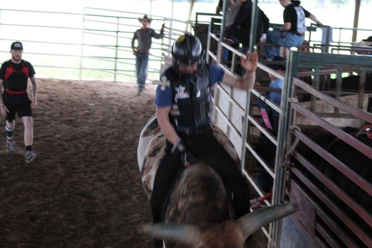 Bad Dog Rodeo in Belton keeps bull riding legacy alive | News | tdtnews.com