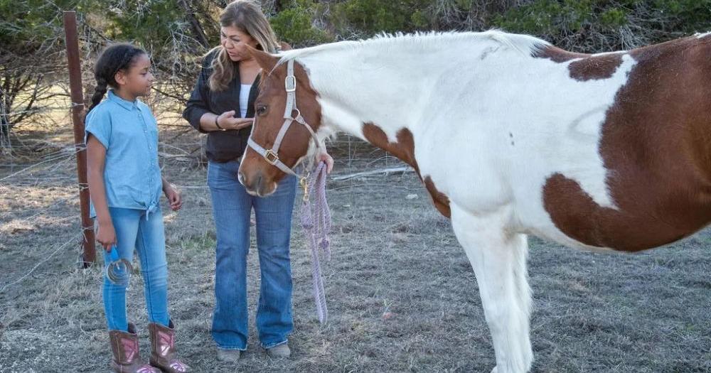 Horses Miracles Ride ‘Miracles happen here’: Rescued horses help veterans, others heal from ...