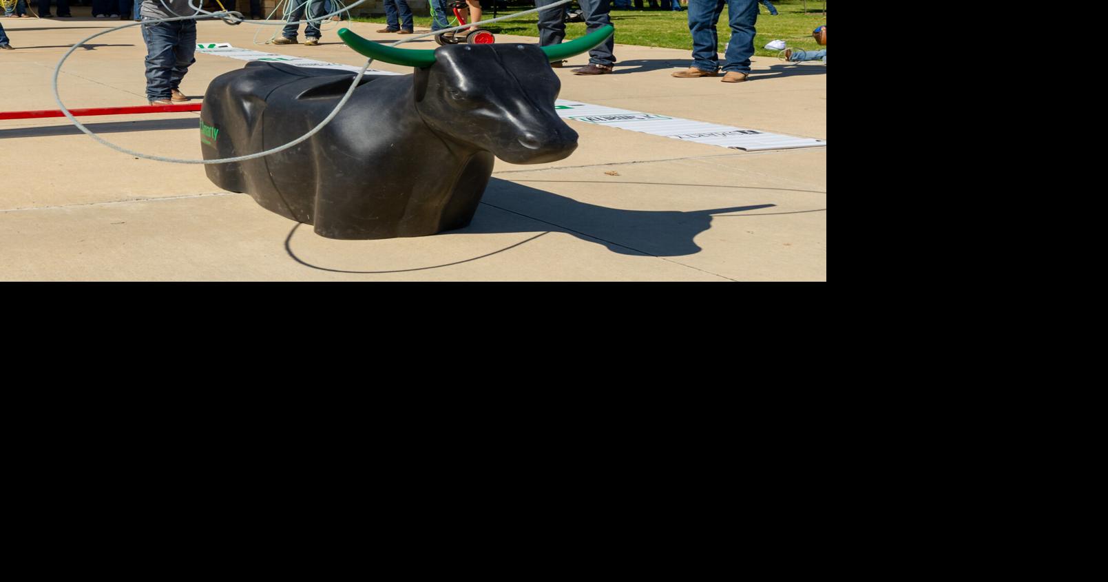 Repetition, a good horse keys to roping success