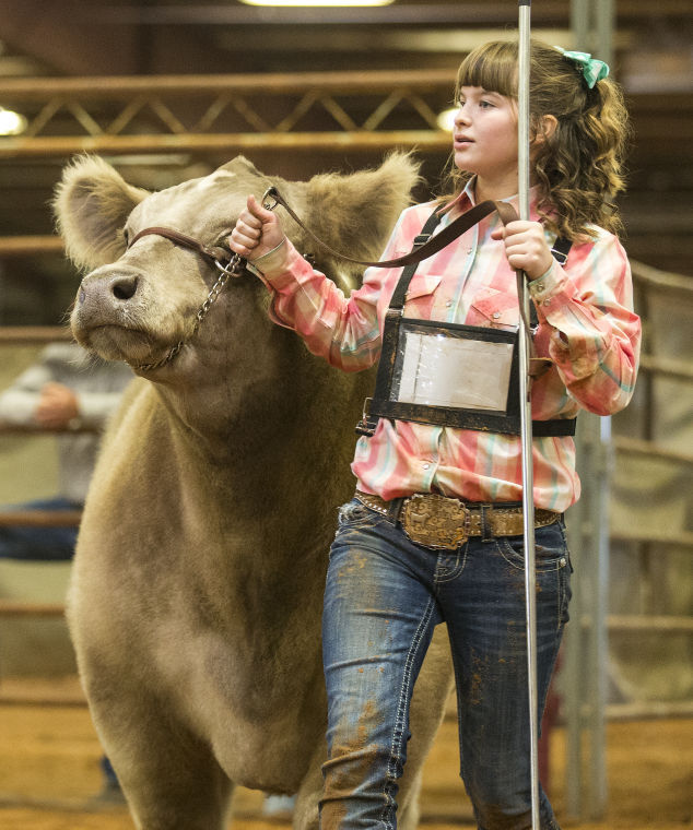 Bell County Youth Fair & Livestock Show Gallery