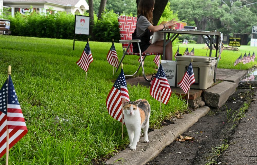 Temple Historic Distric Fourth Of July Parade News Tdtnews Com