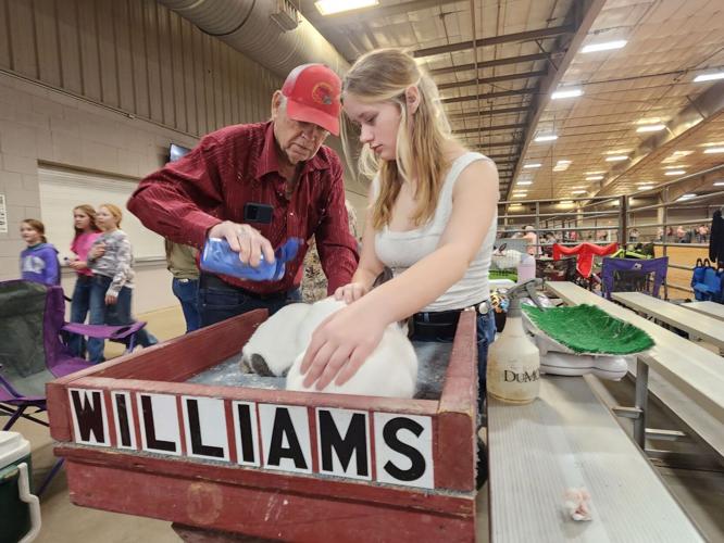 Bell County Youth Fair brings livestock, talent, rodeo to Cadence Bank ...