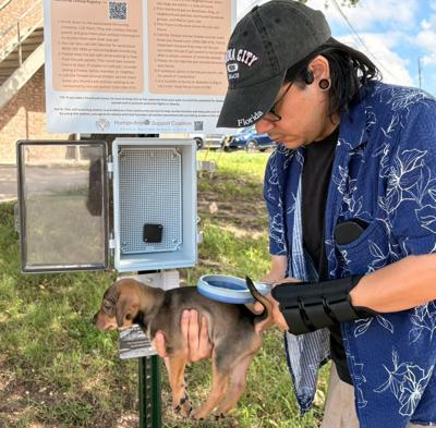Helping lost pets find their way home: Pet microchip scanner station installed in Temple