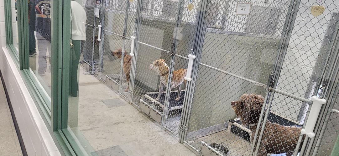 Copperas Cove opens new animal care facility | News | tdtnews.com