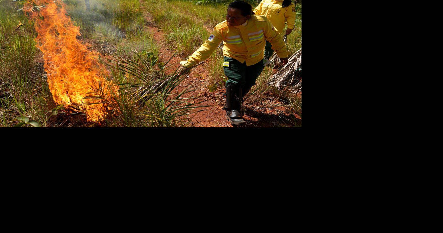 Reporting related to tocantins