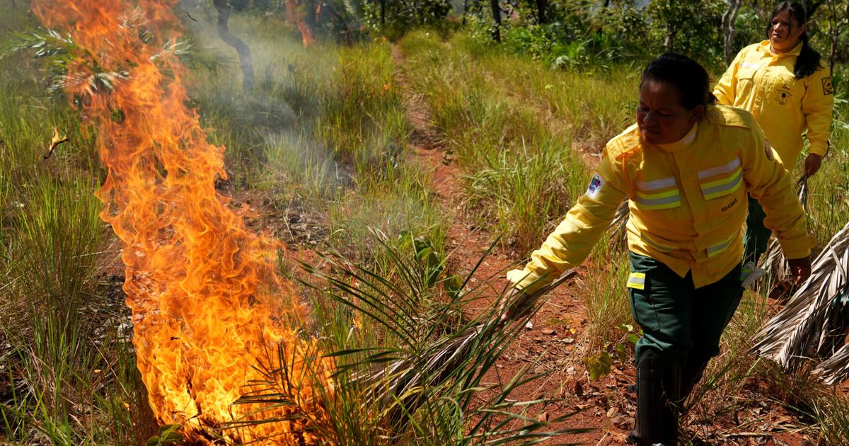 Reporting related to tocantins