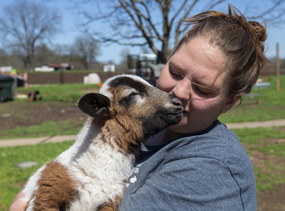 A farm for rescued animals Tiny Hooves takes in the unwanted, hosts
