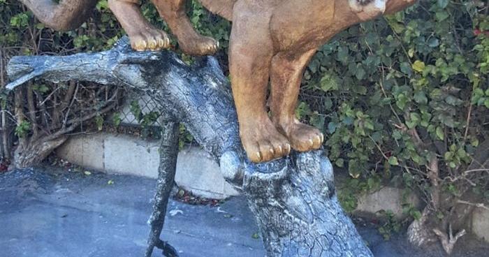 Roaring with panther pride: Statue planned to be installed at Meridith-Dunbar campus - Vimarsana News