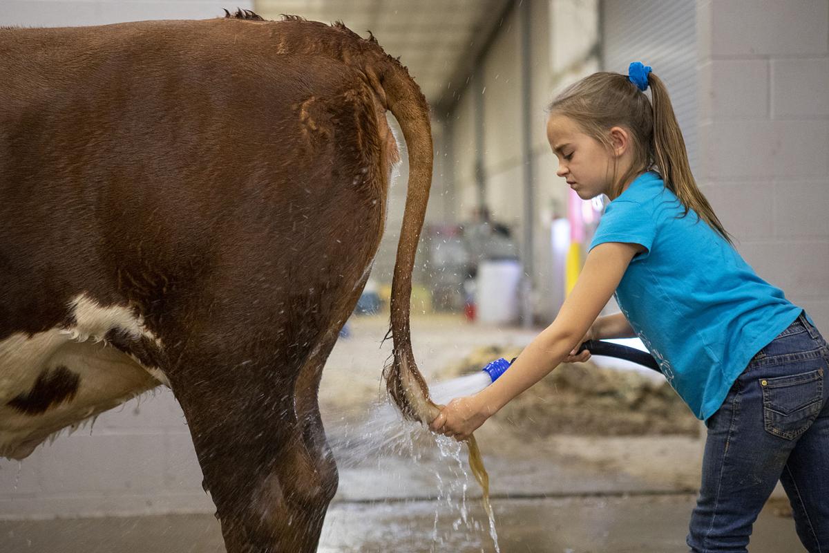 Michael Miller S Best Photos Of 2019 Gallery Tdtnews Com