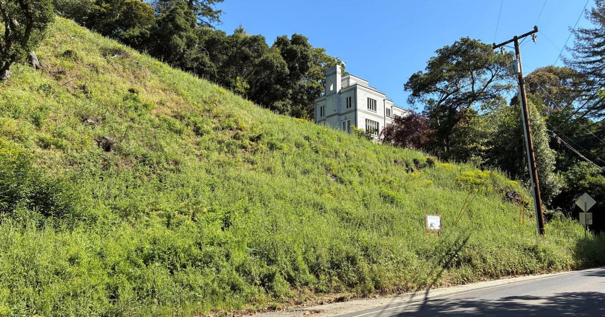 California landowners who cut 38 trees in Oakland hills hit with $915,000 fine A California city has fined a couple $915,135 for cutting down 38 trees By DARWIN BONDGRAHAM/The Oaklandside - The Oaklandside May 6, 2026 20 mins ago