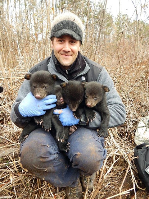 Scientists study how bears and humans coexist in Asheville | News ...