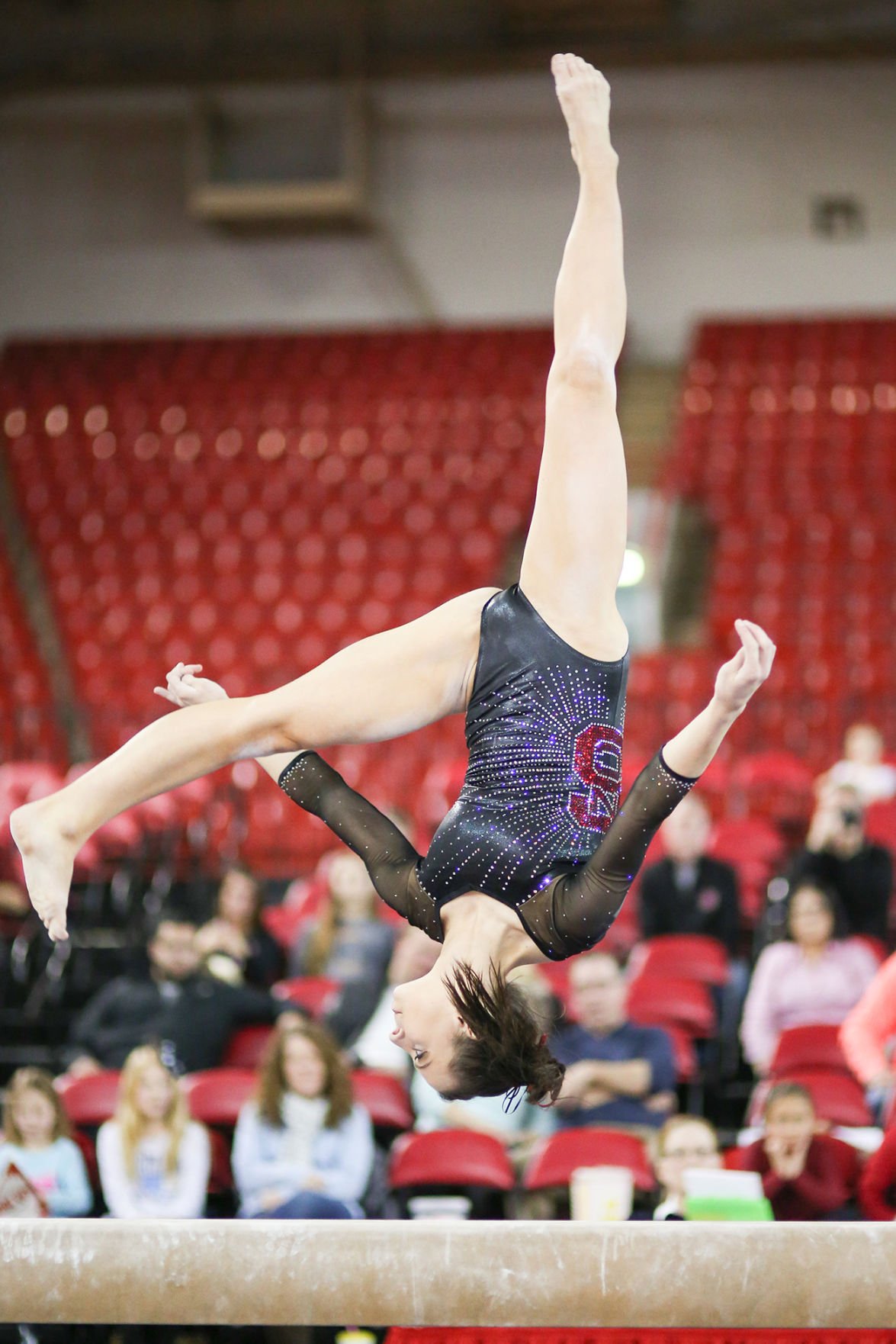 Gymnastics vs. Kent State, Rutgers, and UNC-Chapel Hill | Gallery ...