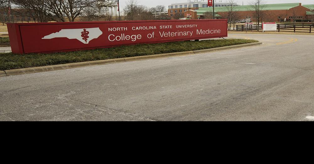 Best Vet Schools in America