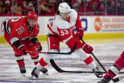 CanesvsRedWings_Aho_DM copy.jpg