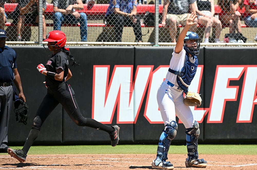 Nine Points of Interest Heading Into UNC Baseball's Opening Day