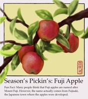Season's Pickin's: Fuji Apple