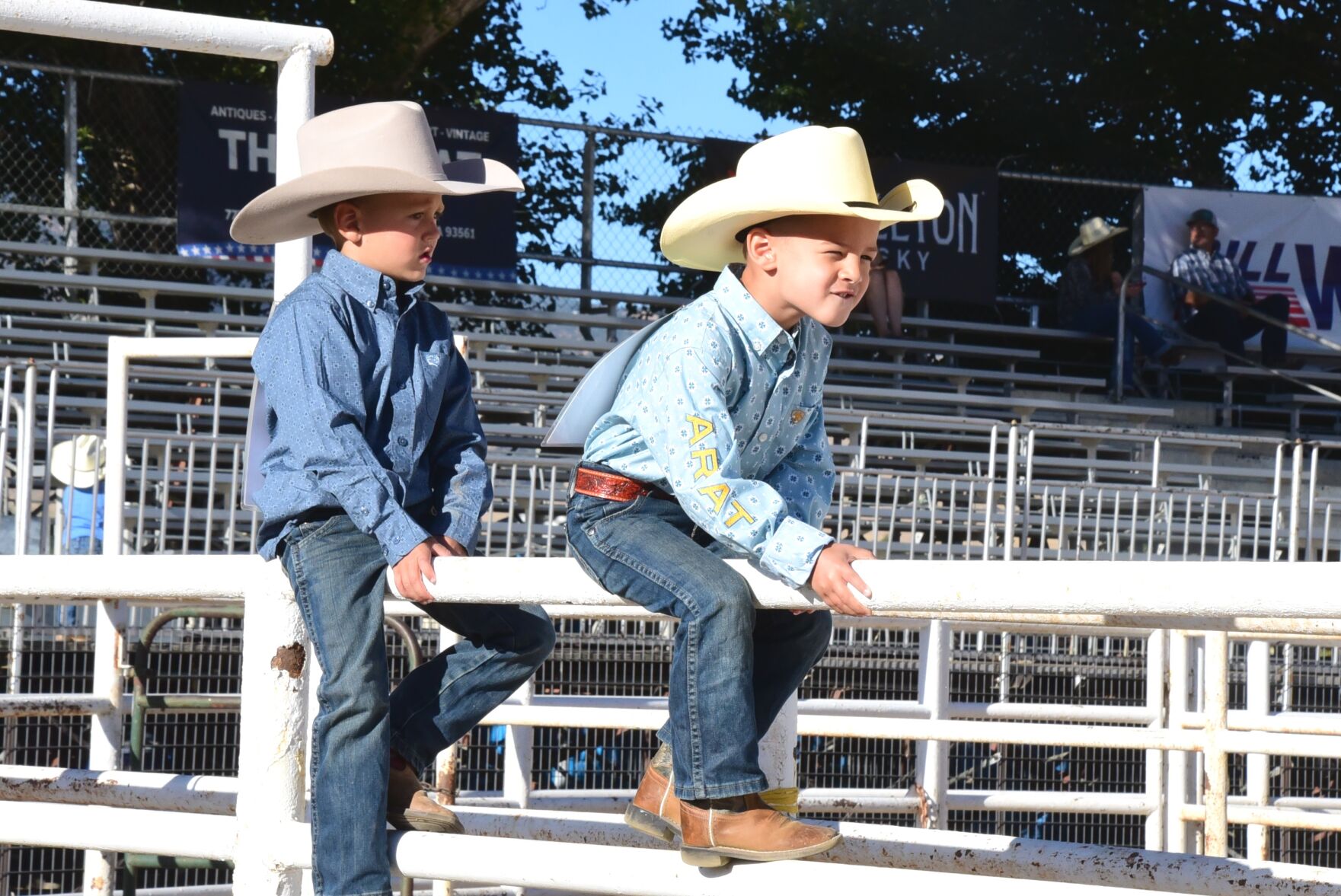 Thrills, skills and spills  Junior Rodeo offers it all