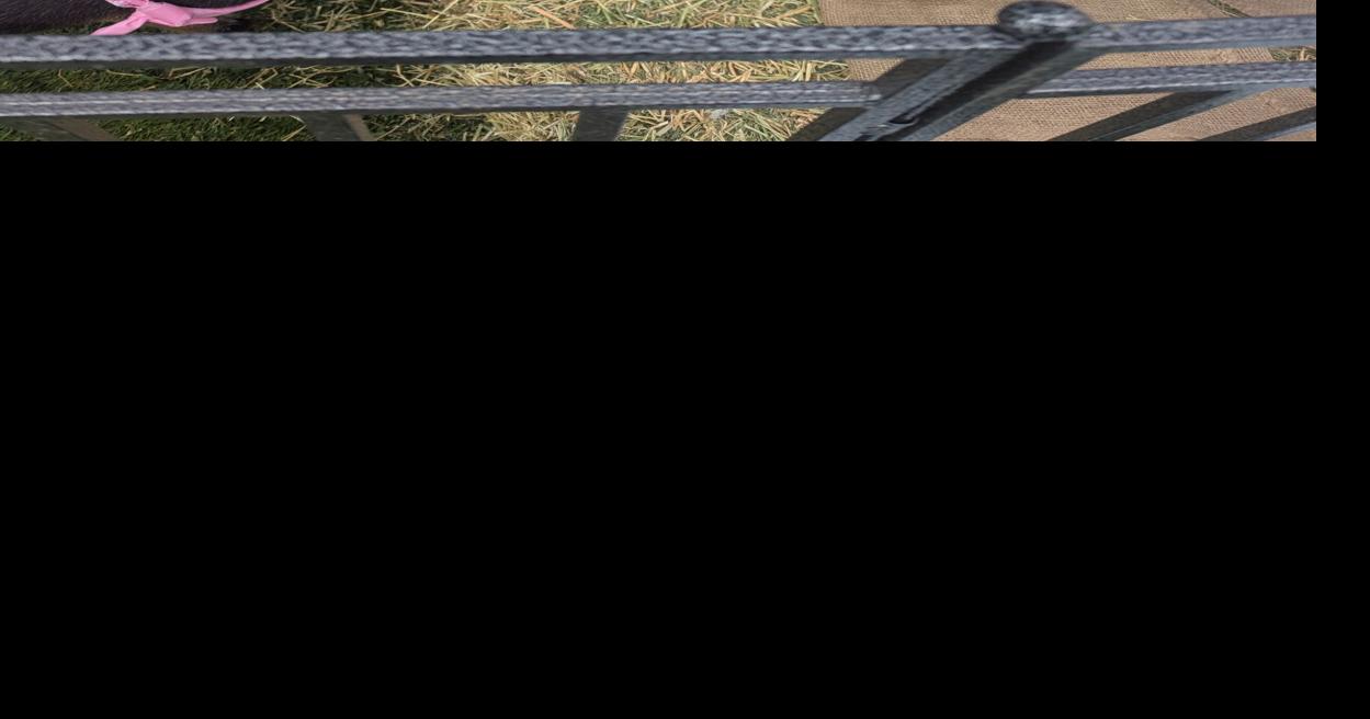 H.E.A.R.T.S. Connection continues to provide special needs services despite U.S. shortage