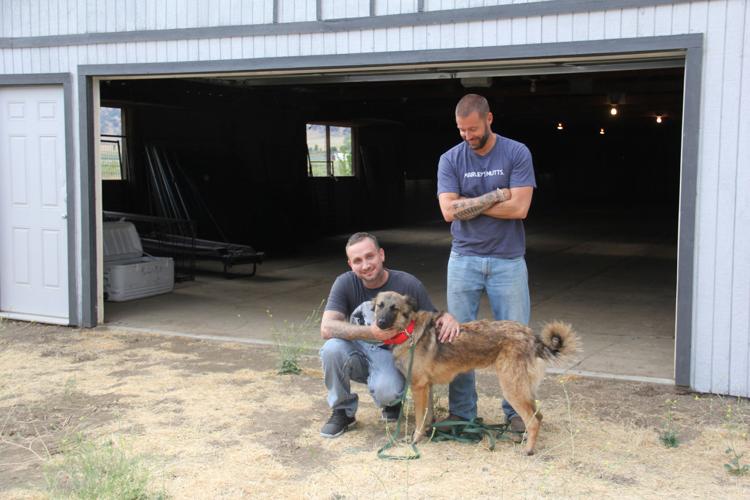 'Your dog sometimes is the best therapy' Marley's Mutts announces