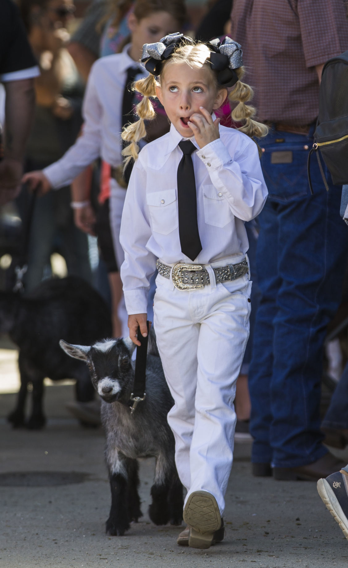 Kern County Fair livestock show will be held online this year News