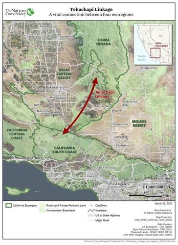 Loop 05 - Tehachapi linkage map.jpg