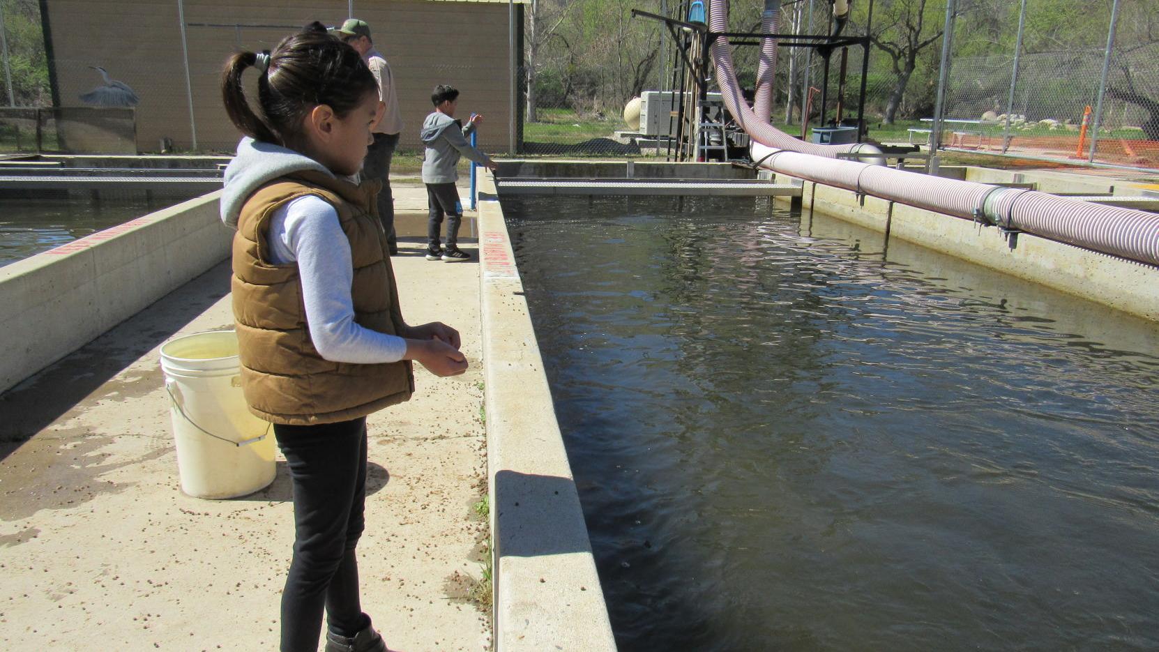 Anglers Welcome Plans To Restart Repairs At Kernville Fish Hatchery News Tehachapinews Com