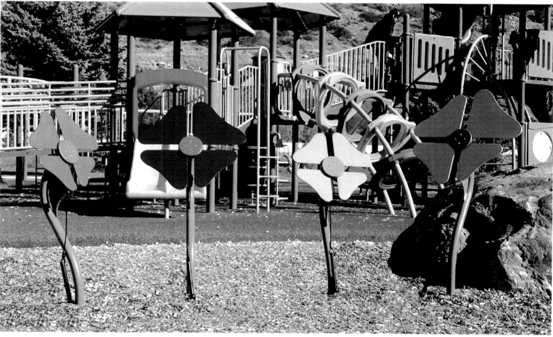 New musical playground equipment slated for Meadowbrook Park News