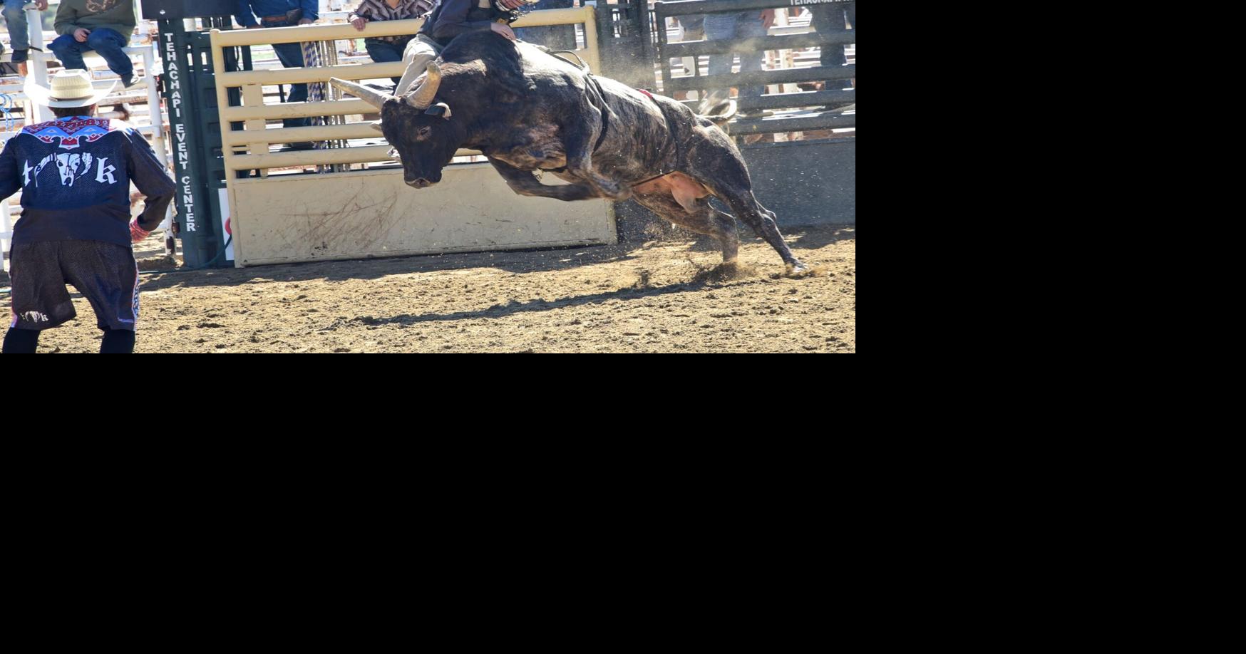 Junior Rodeo action to wrap up for 2026