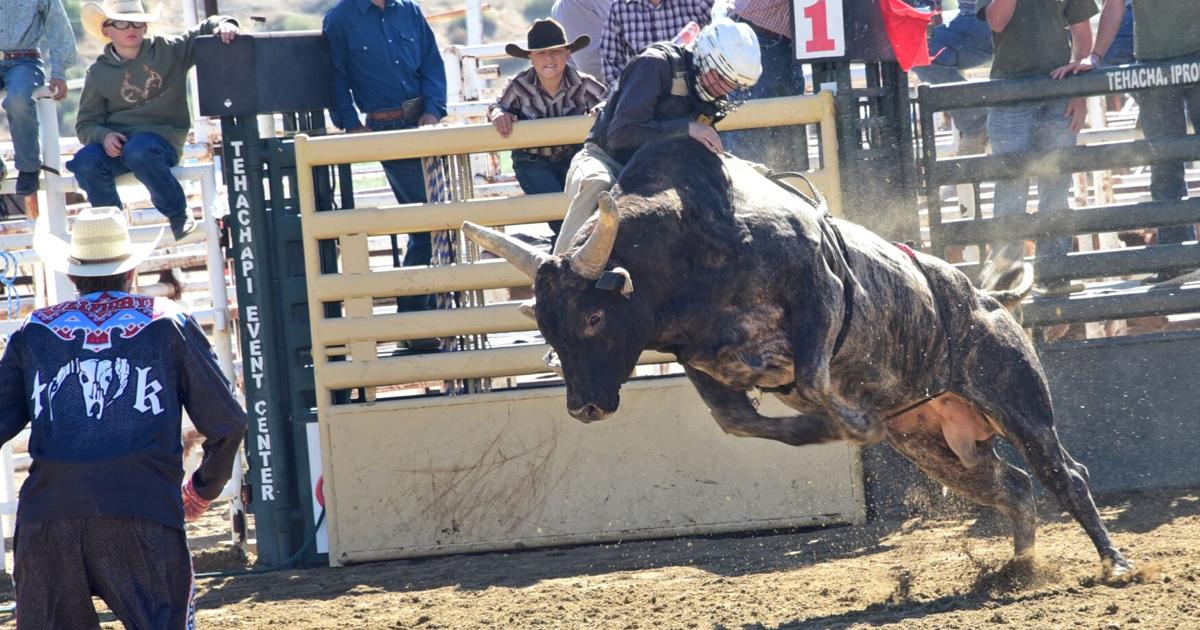 Junior Rodeo action to wrap up for 2026