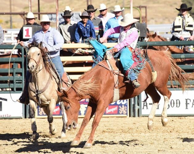 PHOTO GALLERY Tehachapi Apple Festival, carnival and rodeo offered