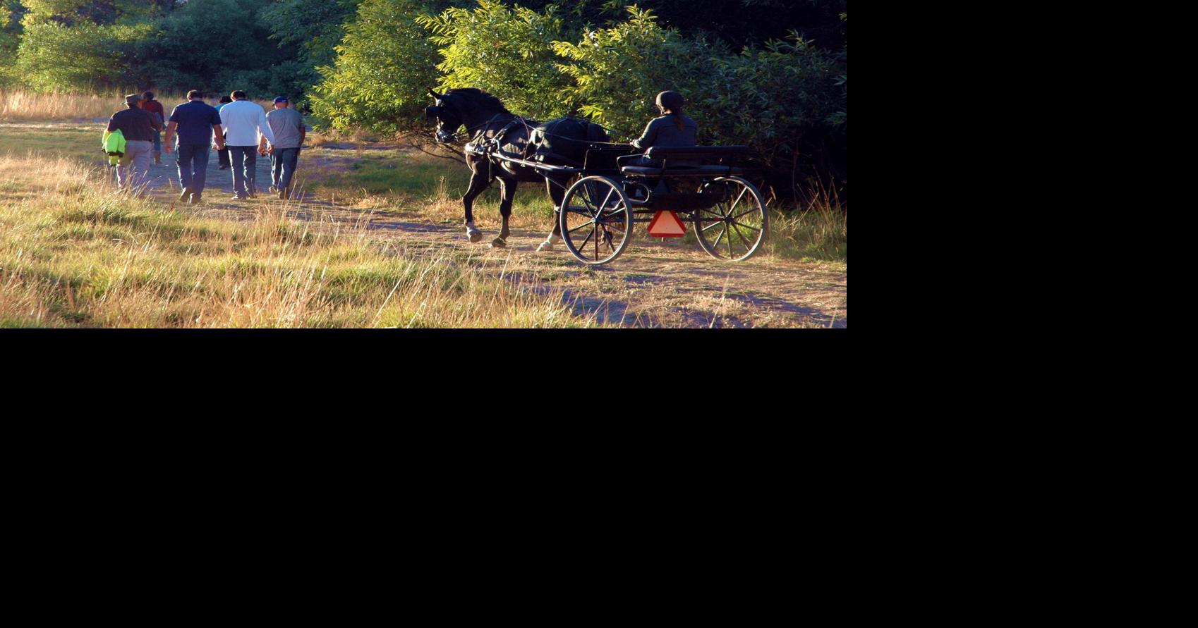 Visitor Guide Horseback riding